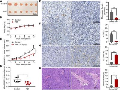 Resibufogenin Suppresses Triple-Negative Breast Cancer Angiogenesis by Blocking VEGFR2-Mediated Signaling Pathway